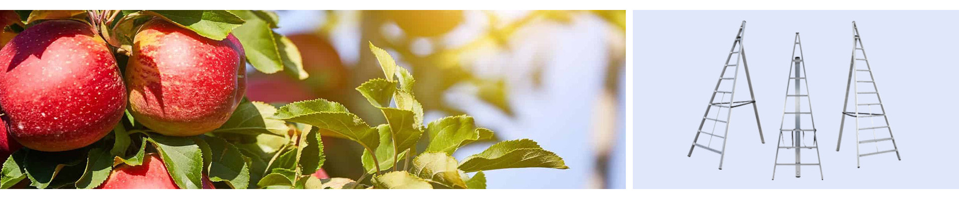 Echelle Fruitière | Hailo France